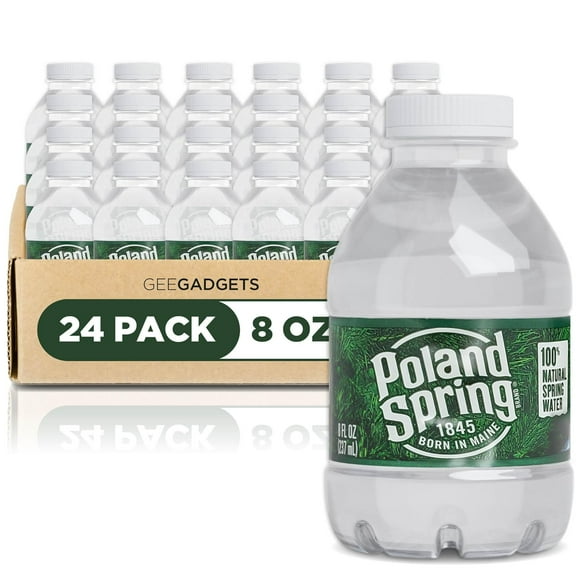Spring Water Bottles 24 Pack - Recyclable Disposable 8 oz Mini Bottle Water