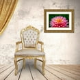 thumbnail image 3 of Engelbrecht, Lisa S. 14x11 Gold Ornate Wood Framed with Double Matting Museum Art Print Titled - Pink and Yellow Dahlia, 3 of 4