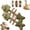 Catnips*2, variant on Catnip and Silvervine Chew, Wooden Catnip & Silvervine Chew, Natural Fish Bone Cat Dental Chews Toy, Durable Catnips Teeth Cleaning Stick for Chewing, Biting, Teeth Cleaning (Catnips)