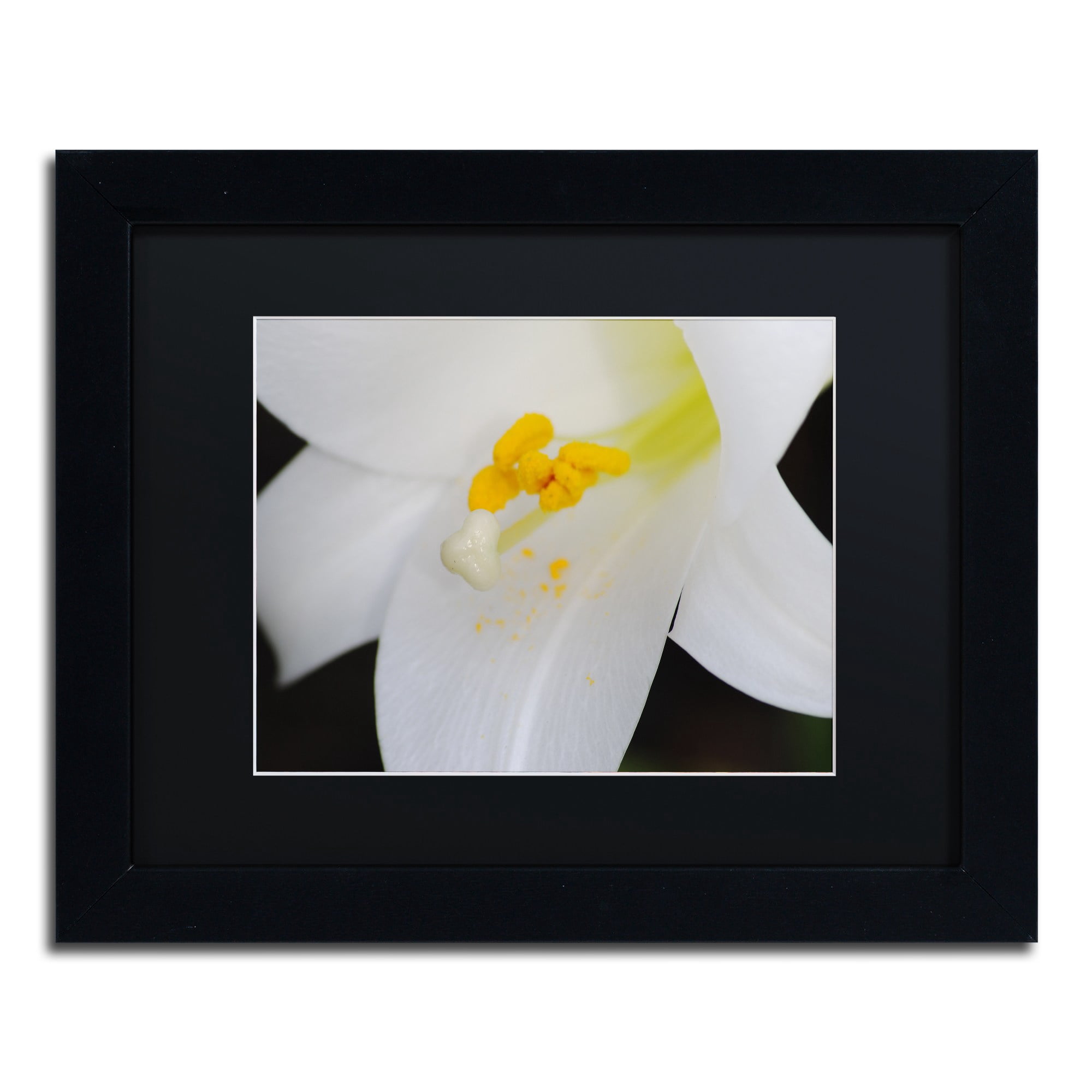 Trademark Fine Art "One Word" Canvas Art by Monica Mize, Black Matte, Black Frame
