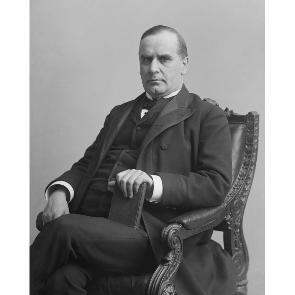 Congressman William Mckinley History (24 x 36)