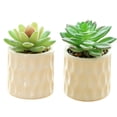 thumbnail image 1 of 2 uds simulación de flores artificiales bonsái suculento moda pequeños adornos artificiales plantas verdes artificiales, 1 of 5