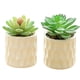 thumbnail image 1 of 2 uds simulación de flores artificiales bonsái suculento moda pequeños adornos artificiales plantas verdes artificiales, 1 of 5