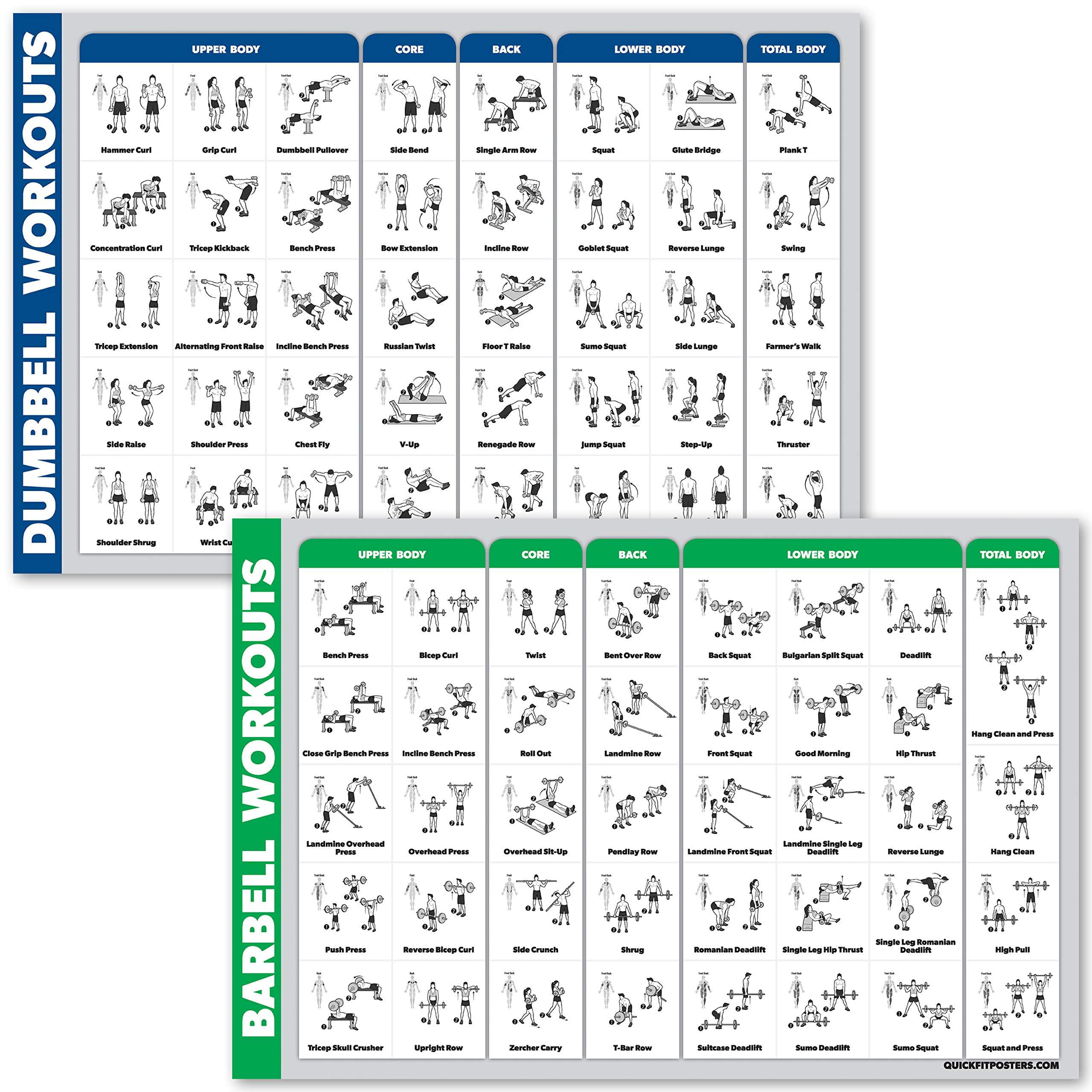 Laminated 2 Chart Set Dumbbell Exercise Routine & Stretching Workouts QuickFit Dumbbell Workouts and Stretching Exercise Poster Set 