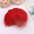 100pc Colorful Feathers 612 Cm In Small Feather DIY Decoration Body