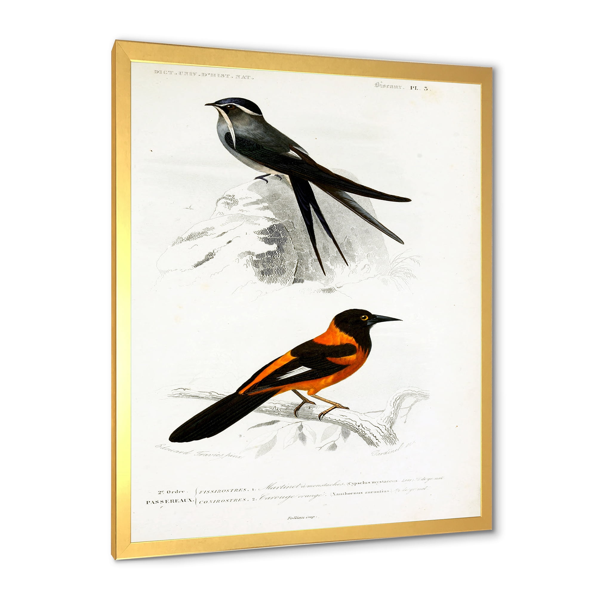 Designart 'Ancient Bird II' Traditional Framed Art Print