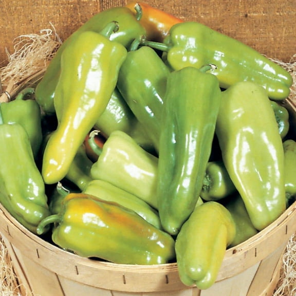 Pepper Seeds - Key Largo Variety Pepper Seeds - Non-GMO - 50 Seeds