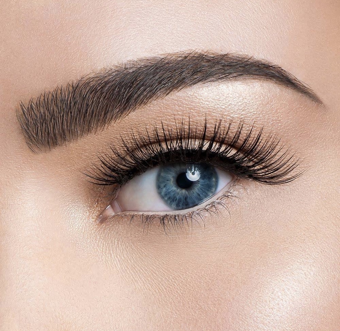 VELOUR "Full of It" Silk Lashes