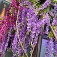 thumbnail image 5 of Artificial Wisteria Hanging Flowers,Fake Wisteria Flower Vines Garland for Garden and Wall Decoration,3.6 Feet Wisteria Vines Garland for Home and Wedding Party Decorations,12 Pcs,Purple, 5 of 9