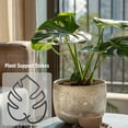 thumbnail image 3 of sunsanly Plant Support Monstera Leaf Shape Plant Support for Vertical Growth Easy Installation Stem Holder for Indoor Outdoor Potted Plants, 3 of 8