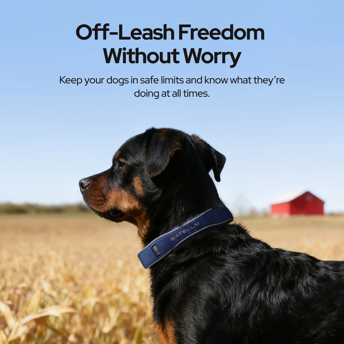 SATELLAI Wireless Dog Fence & GPS Dog Collar with AI Health Insights, Two-Way Audio, Precise Tracking, 3-Day Battery Life, IP68 Waterproof, Red