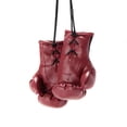 thumbnail image 2 of Forza Sports Mini Boxing Gloves - Blood Red, 2 of 4