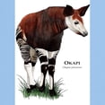 thumbnail image 3 of CafePress - Okapi Light T Shirt - Men's Classic Graphic T-Shirt, 3 of 4