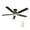 Black/Gold, variant on Smaair 52" 5-Blade Flush Mount Smart Home Ceiling Fan with Dim LED Light and Remote - Black/Gold