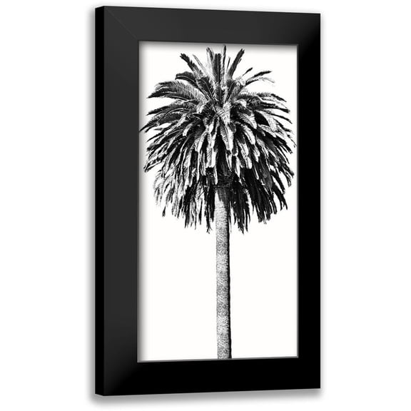 Blake, Madeline 9x14 Black Modern Framed Museum Art Print Titled - Palm Tree II