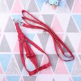 thumbnail image 5 of Adjustable Pet Bird Harness Parrot Leash Bird Harness for Outdoor Walking Size L (Red), 5 of 5