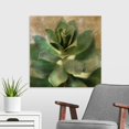 thumbnail image 3 of Great Big Canvas "Succulent I"  by Patricia Pinto Light Gray    Wrapped Canvas Print Wall Artwork, 3 of 7