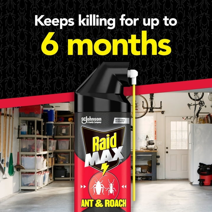 Raid Max Roach Insect Killer Aerosol Spray On Bugs - 14.5 Oz, 3 Pack
