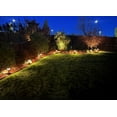 thumbnail image 7 of Harbor Breeze 100-Lumen 2.7-Watt Specialty Txtured Bronze Low Voltage Hardwired LED Outdoor Path Light (3000 K), 7 of 7