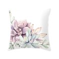 thumbnail image 1 of Cactus Succulents Pattern Polyester Pillowcase Cushion Cover Office Sofa Home Peach Skin Velvet Decor, 1 of 9