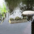 thumbnail image 4 of Mnhhatv Turtle Resin Garden Ornament Courtyard Outdoor Decor Lifelike Turtle Figurine for Yard Patio Flower Bed Pond Accent Feng Shui Symbolic Decoration Garden Home Landscape Outdoor Display, 4 of 8