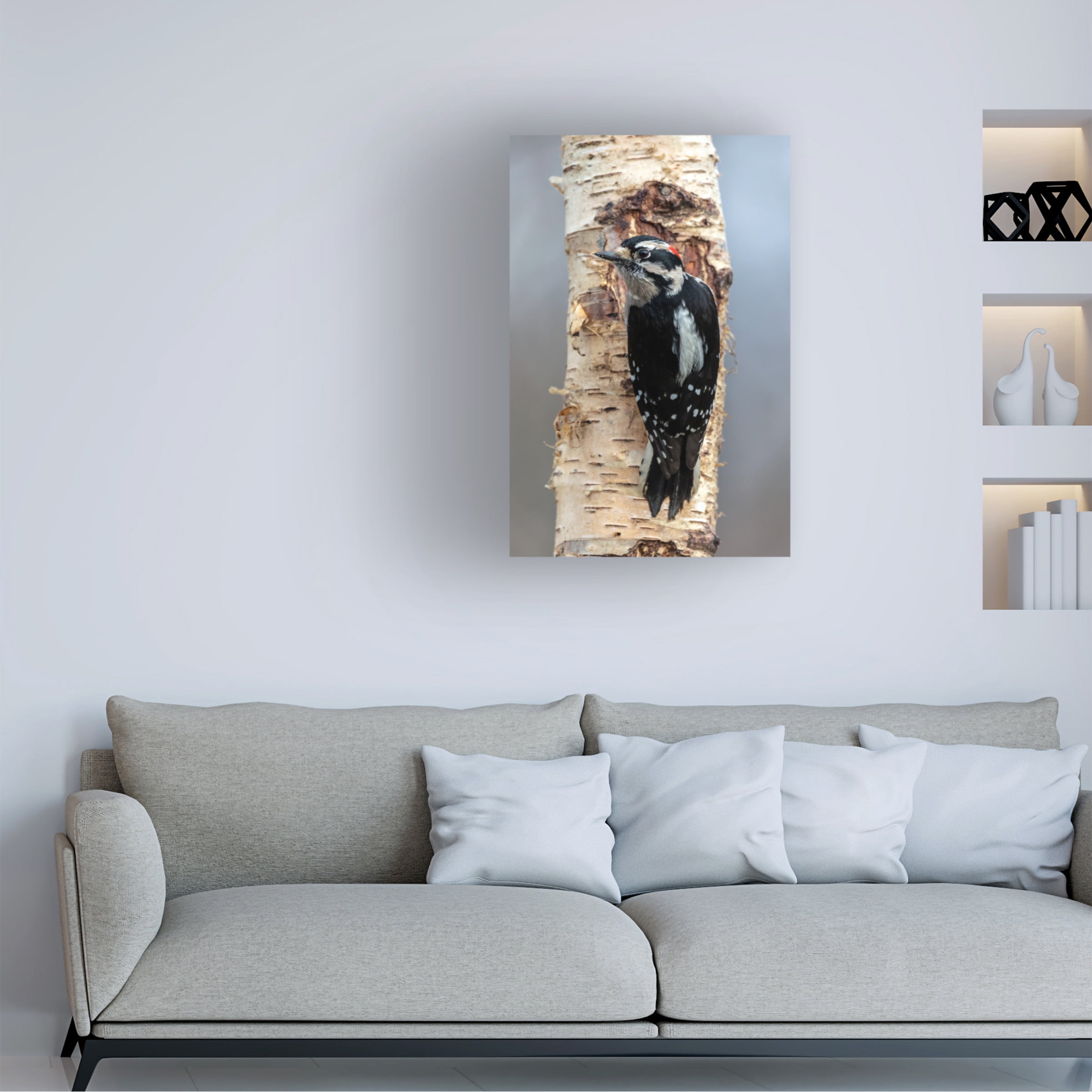 Pierre Leclerc Photography 'Woodpecker' Canvas Art