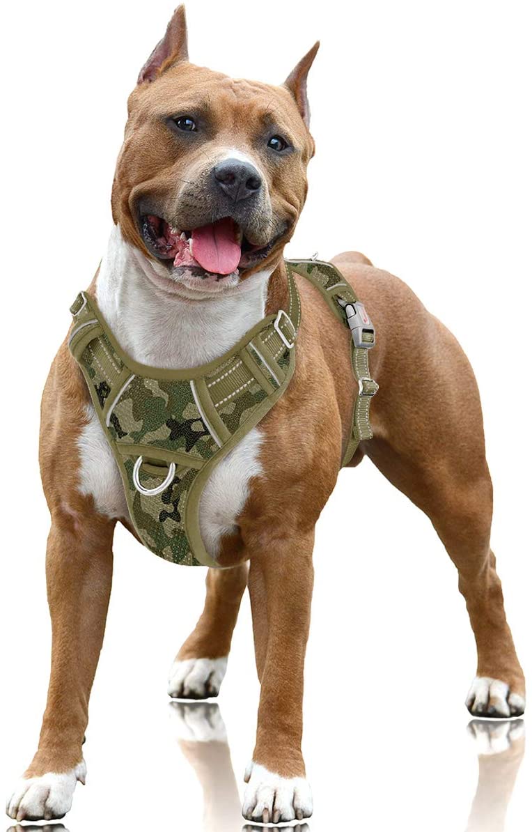 step in dog harness safest