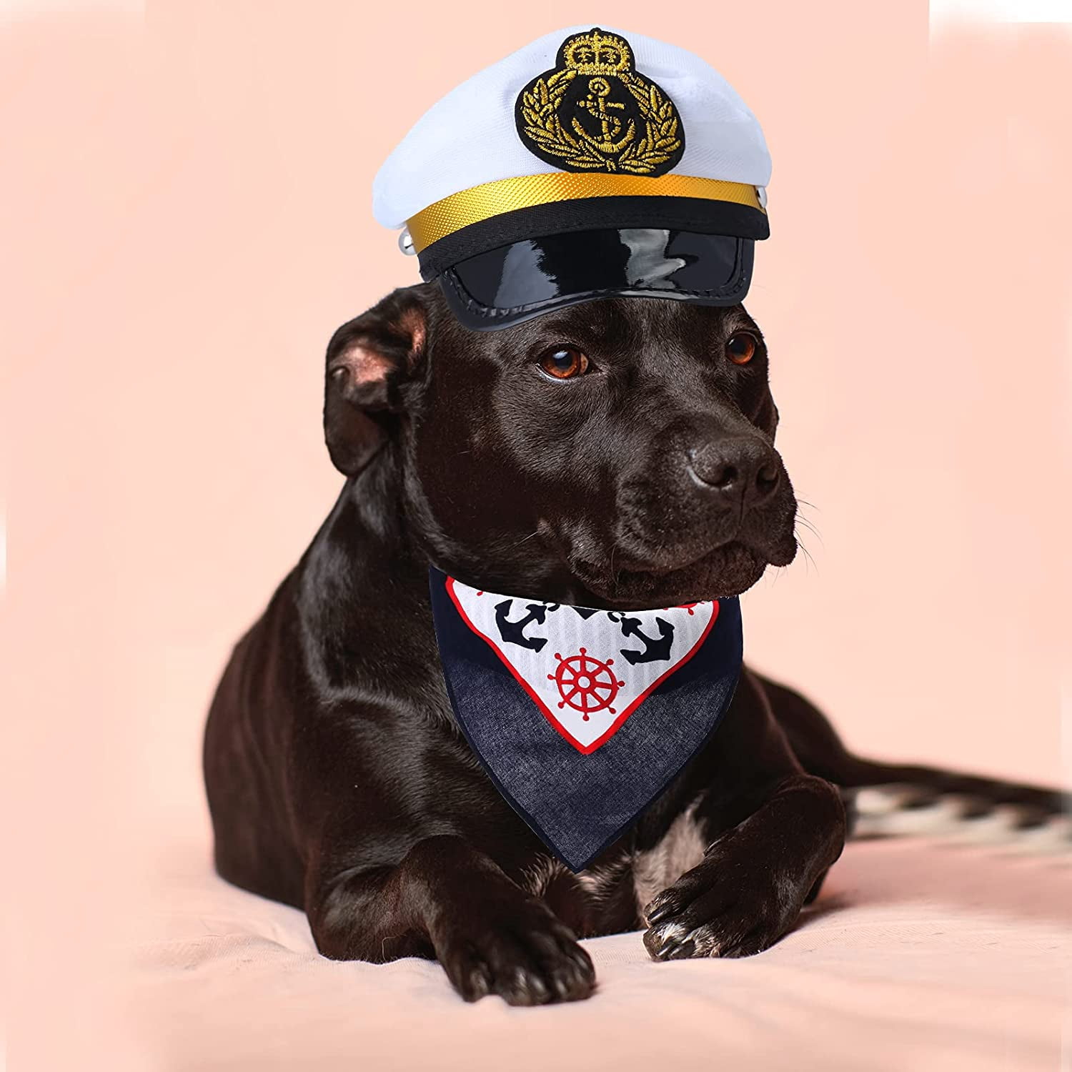 Dog Cat Sea Marine Hat 