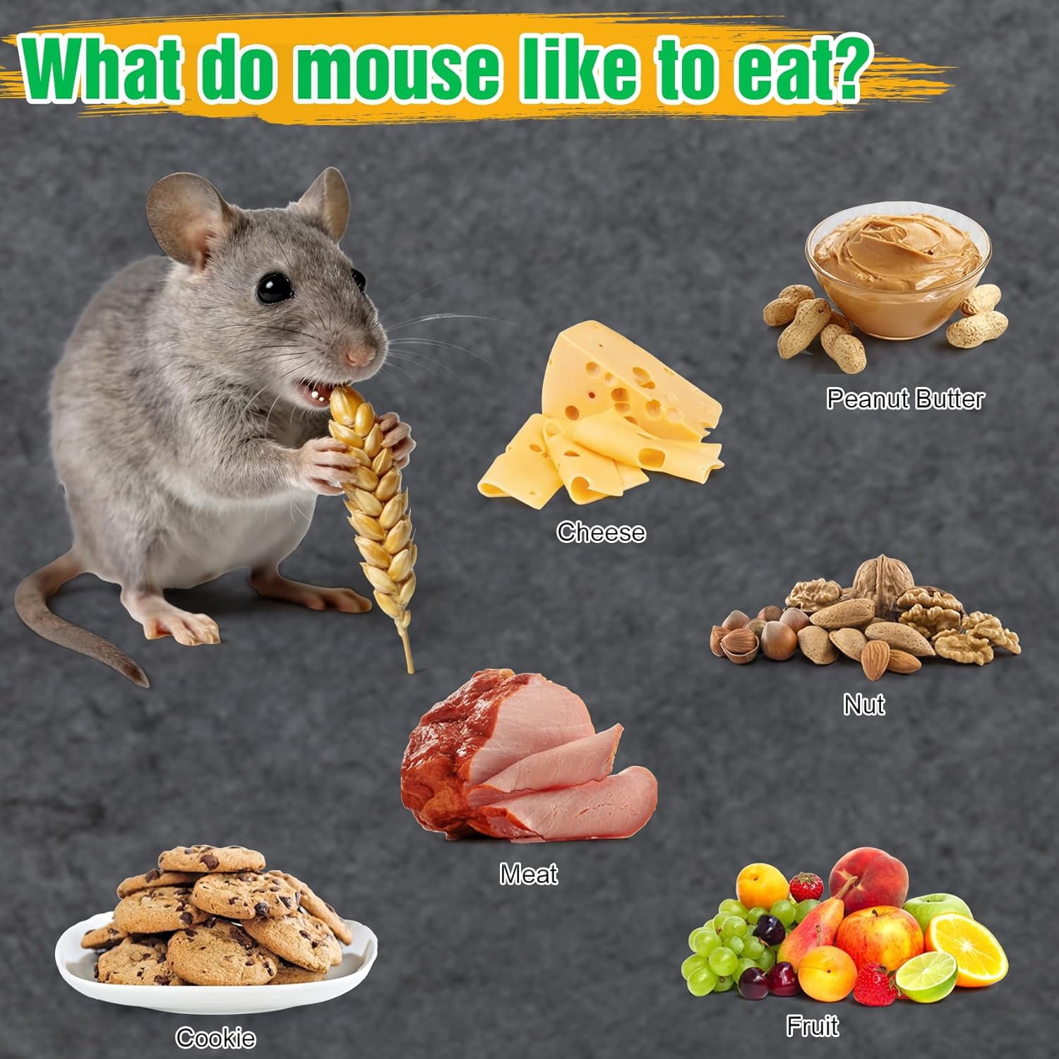 4 Pcs Humane Mouse Traps No Kill, Live Trap, Reusable Mice Trap Catch for House & Outdoors