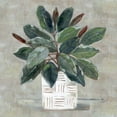 thumbnail image 3 of Swatland, Sally 15x15 Black Modern Framed Museum Art Print Titled - Simple Tropic I, 3 of 5