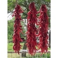 thumbnail image 3 of 25 JIMMY NARDELLO PEPPER Sweet Red Italian Capsicum Annuum Vegetable Seeds, 3 of 3
