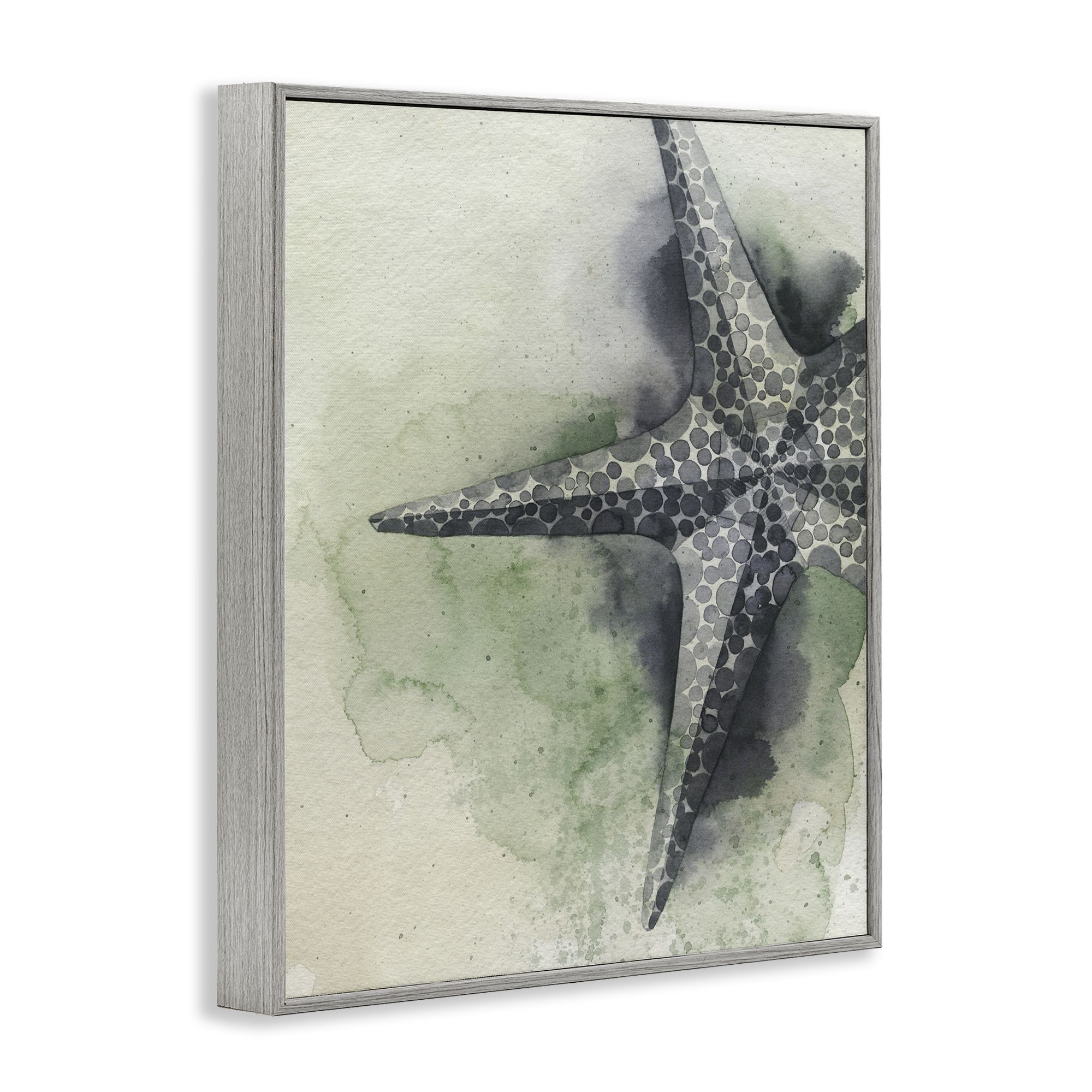 Stupell Industries Spotted Grey Starfish Animals & Insects Painting Gray Framed Art Print Wall Art, 11 x 14