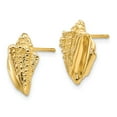 thumbnail image 2 of FB Jewels 14K Yellow Gold Conch Shell Earrings, 2 of 3