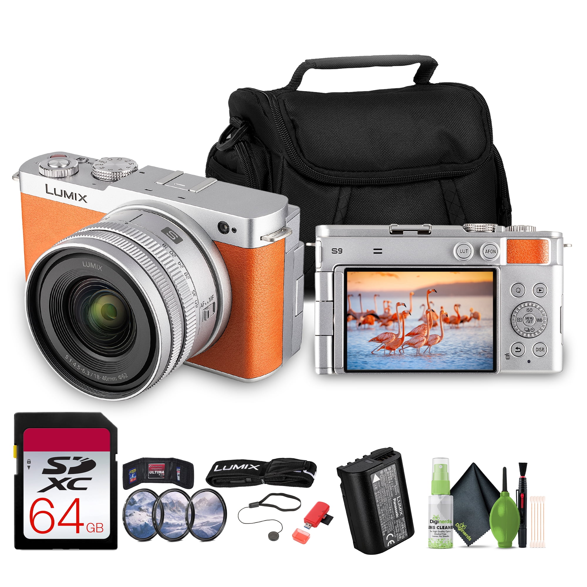 Panasonic Lumix DC-ZS80 20.3 MP Compact Camera with Optical Zoom