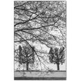 thumbnail image 2 of Bibikow, Walter 17x24 Black Ornate Wood Framed with Double Matting Museum Art Print Titled - Sweden-Stockholm-trees-early spring, 2 of 4