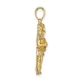 thumbnail image 2 of FJC Finejewelers 14k Yellow Gold Large Gemini Zodiac Charm, 2 of 6