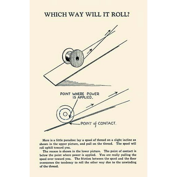 Which Way Will It Roll-Fine Art Canvas Print (20" x 30")