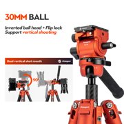Fotopro X-Airfly Video 64.6 Carbon Fiber Tripod with Ball Head & Fluid Head, 5-Sec Lightweight Compact Camera Tripod Stand for Travel, Low Angel Shooting, Hidden Phone Clip, Max Load 10 lbs, Orange