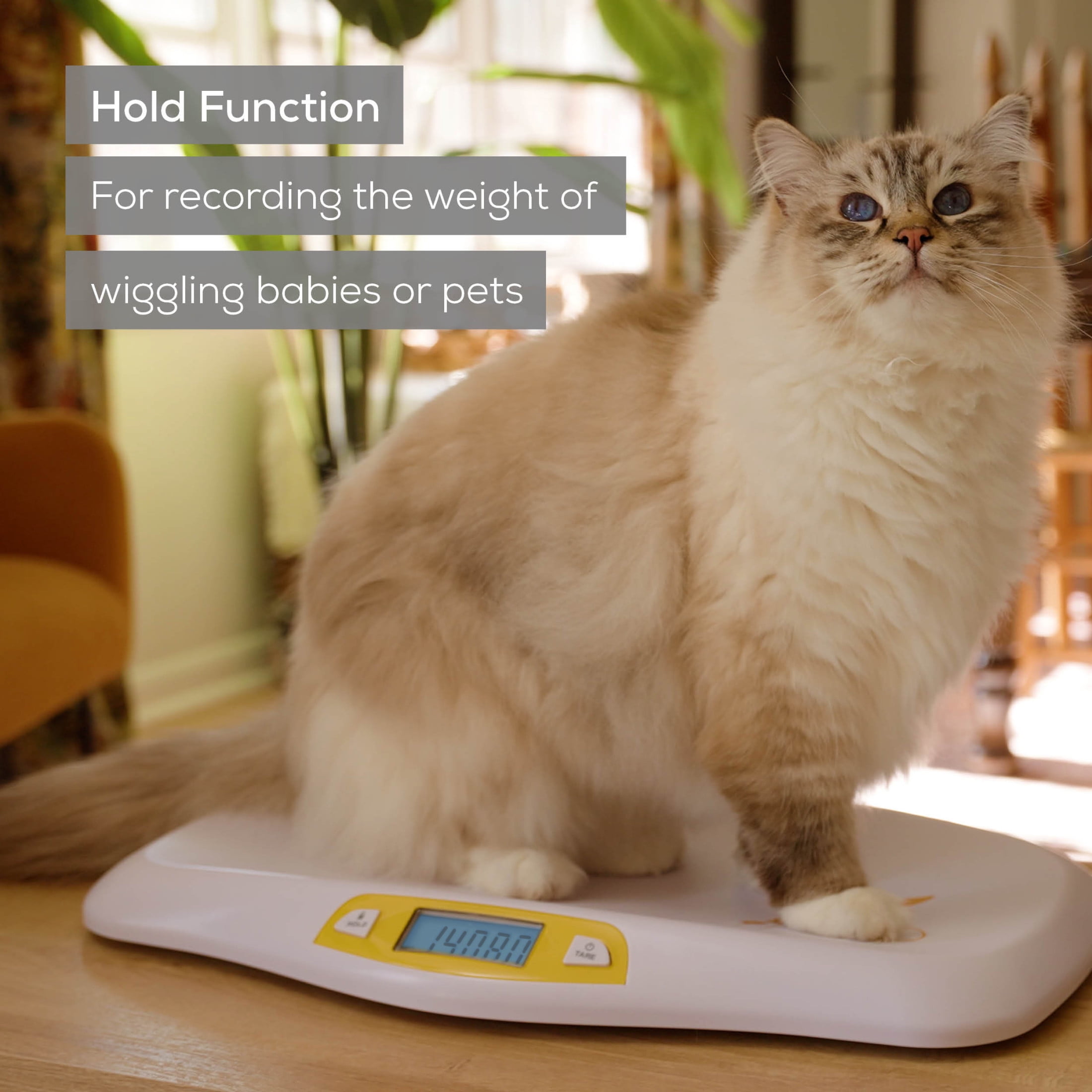 Beurer Digital Scale, Baby and Pet, Curved Weighing Platform, Weighs Up To 44 Lbs, BY80