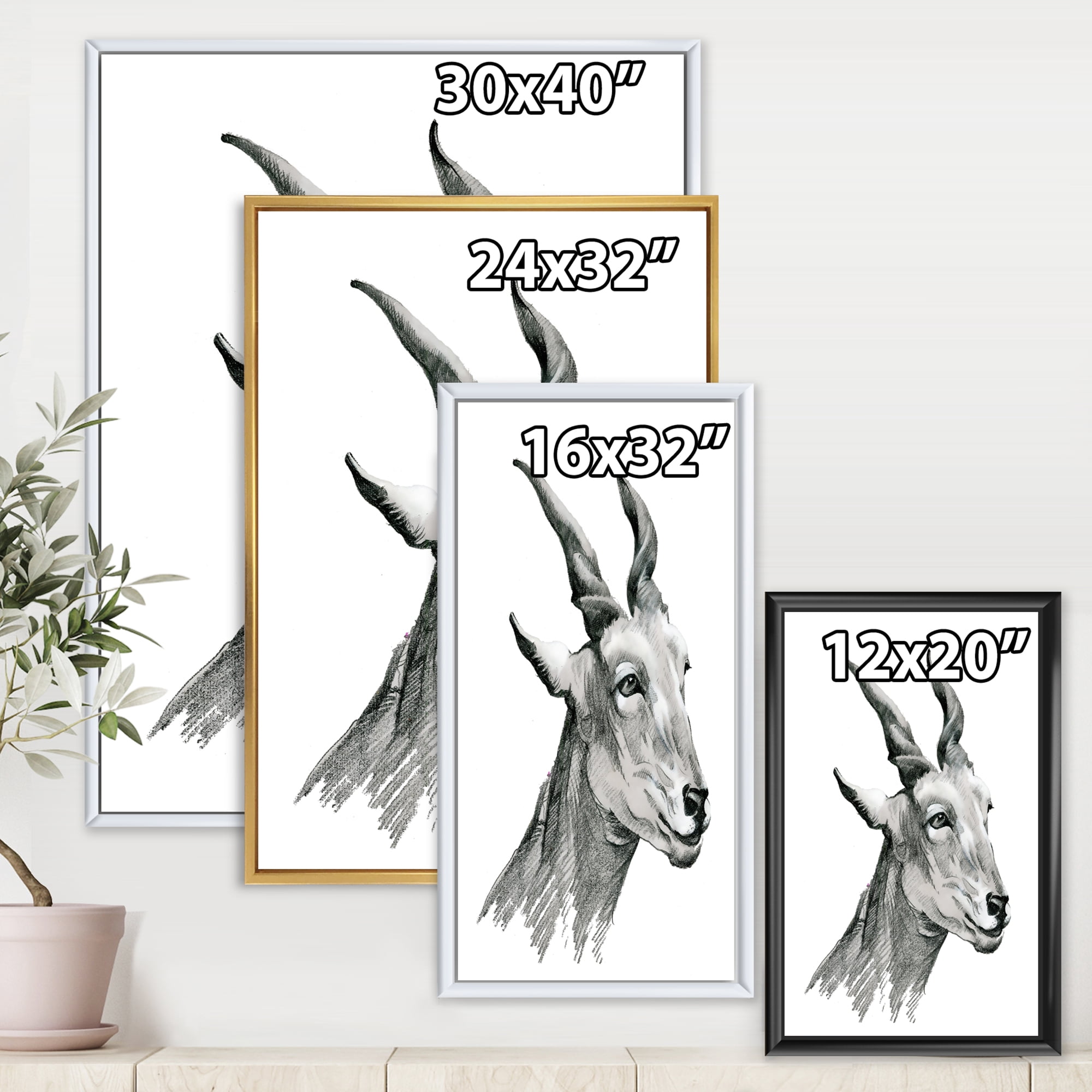 Designart 'Black and White Portrait Of Goat I' Farmhouse Framed Canvas Wall Art Print