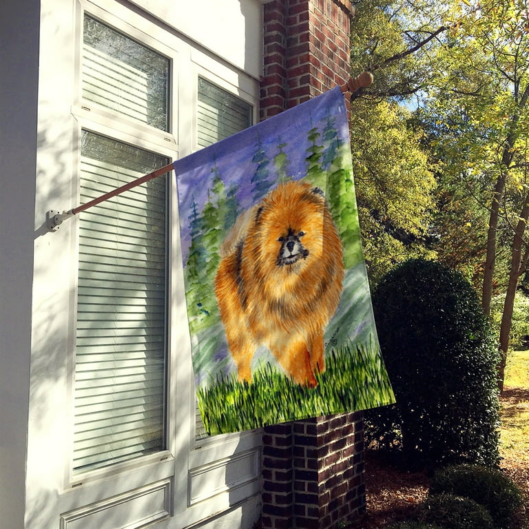 Caroline's Treasures SS8459-FLAG-PARENT Pomeranian Flag