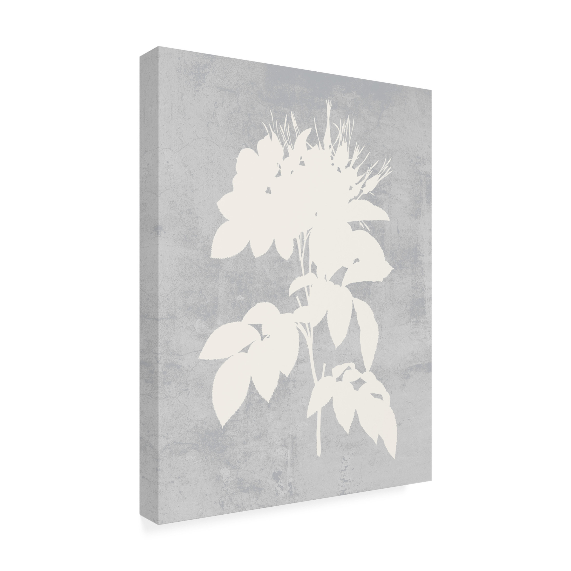 Trademark Fine Art Melissa Wang  Falling Flowers I Canvas Wall Art