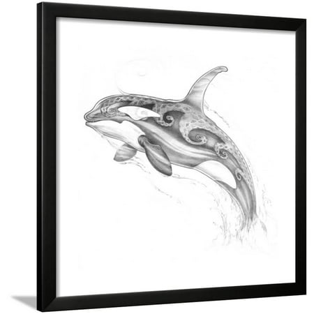 - Aquatic Orca Pencil Framed Print Wall Art By Jeff Haynie