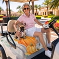 thumbnail image 3 of Golf Cart Seat Covers for 2 Seater,Orange Pumpkins Fall Soft Microfiber Cart Seat Towel Blanket,Thanksgiving Leaves Botanical Rustic Absorbent Non Slip Bench Seats Protector for Golf Course 51"x31", 3 of 9