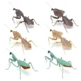 thumbnail image 3 of Insects Gashapon Big Picture Book Series Mantis Spider Scorpion Wasp Simulation Insect Action Figure Model Toys, 3 of 5