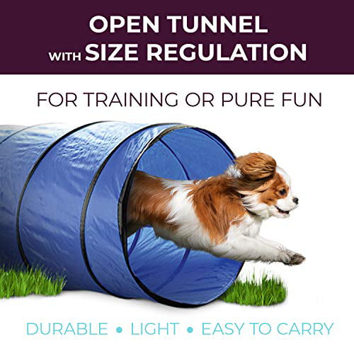 XiaZ Dog Agility Equipments, Obstacle Courses Training Starter Kit, Pet Outdoor Games for Backyard Includes Dog Tunnel, Jumping Ring, High Jumps, 4