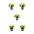 thumbnail image 3 of kurtrusly Realistic Artificial Succulent Low Maintenance Elegant Easy To Clean Artificial Money Tree In Pot white babysbreath 5Set, 3 of 6