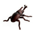 thumbnail image 2 of Cheers Figurine d'Insecte en PVC Simulation Modèle Éducatif Jouet de Rôle pour Enfants, 2 of 2