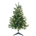 thumbnail image 1 of 3 ft. Pre-Lit Clear Incandescent Jackson Pine Tree, 1 of 1