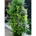 thumbnail image 6 of Exports International -FT002 standing Flower Tower, 3-feet, 6 of 10